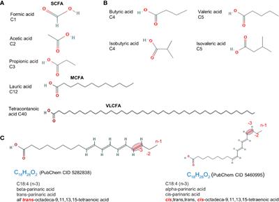 Regulation of Intestinal Inflammation by Dietary Fats